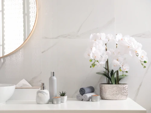 White Bathroom With Pot of Orchid and Toiletries