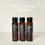 MScents Hallyu Collection of 3 Essential Purifier Oil Bottles