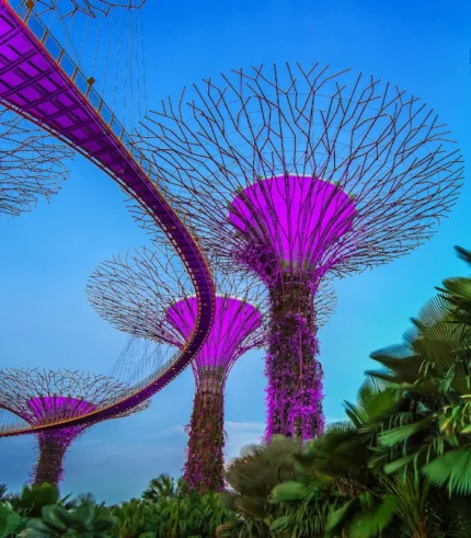 purple lit supertrees gardens by the bay skyline