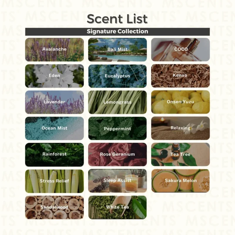 chart of mscents signature scent list spray