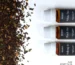 Mini-bottles-of-essential-oils-in-tea-scent